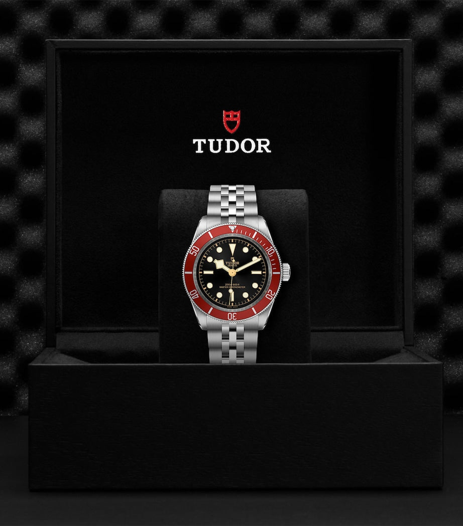 TUDOR Stainless Steel Black Bay Watch 41mm