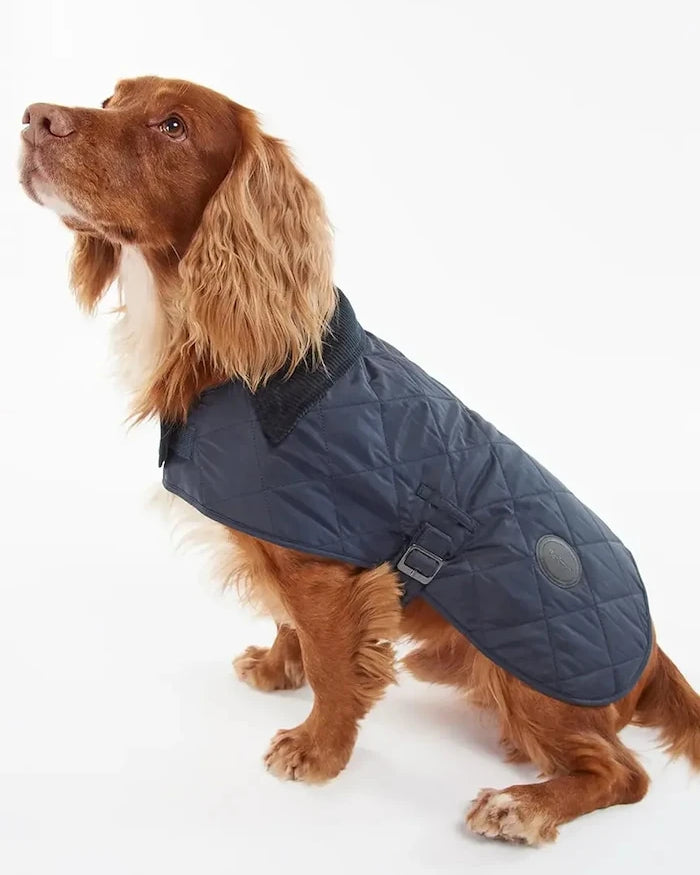 Barbour Köpek Montu