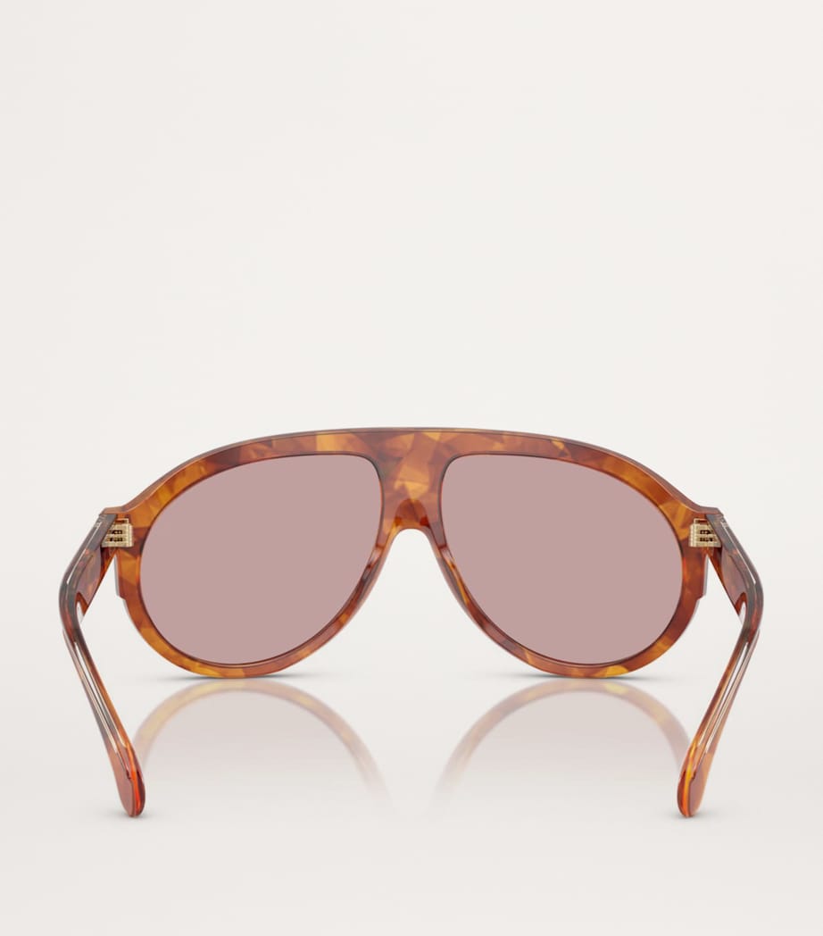 Moncler Brown Acetate Fhaite ME6001 Sunglasses