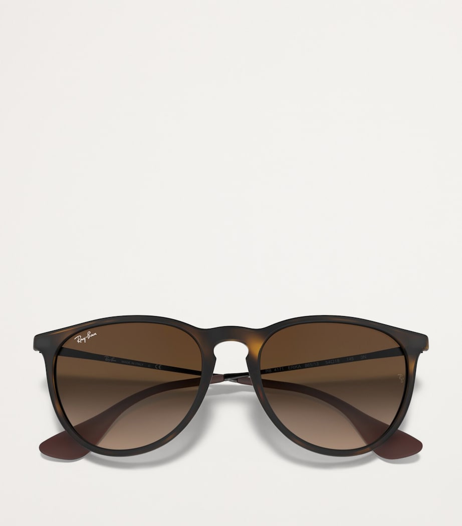 RB4171 Erika Classic