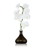 The Orchid Amber and Oud Diffuser (250ml)