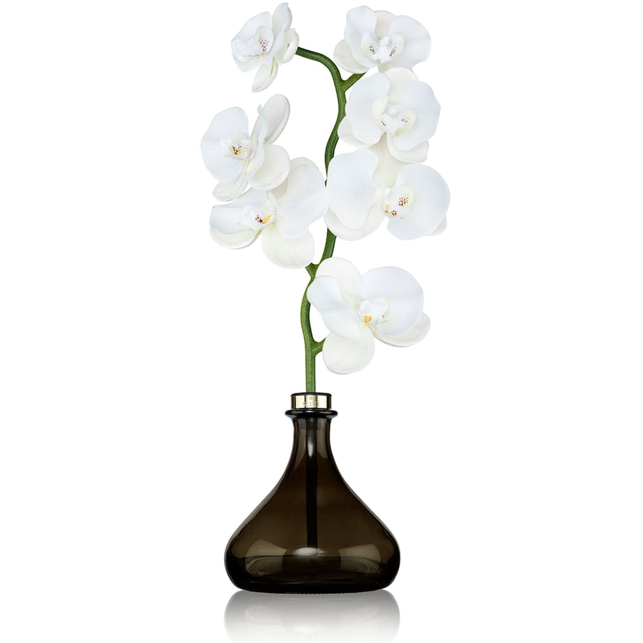 The Orchid Amber and Oud Diffuser (250ml)
