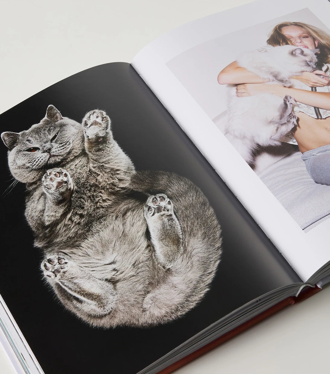 Assouline - Chic Cats book