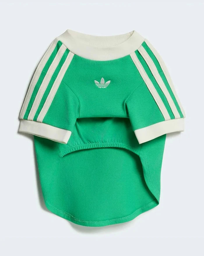 adidas Originals Evcil Hayvan Pet Cali