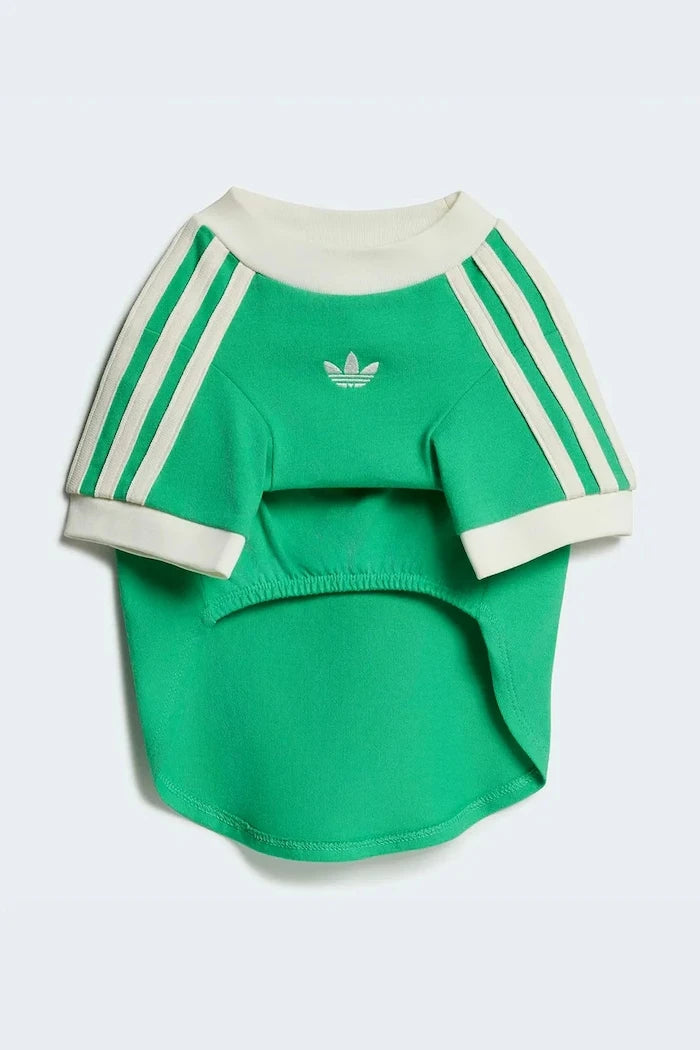 adidas Originals Evcil Hayvan Pet Cali