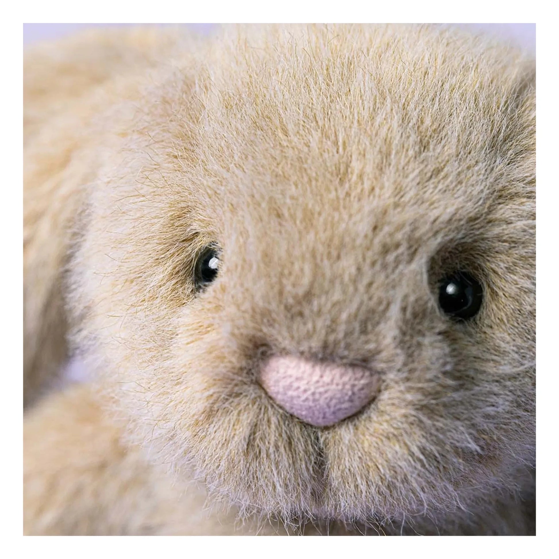 Jellycat - Fluffy Rabbit | Oats