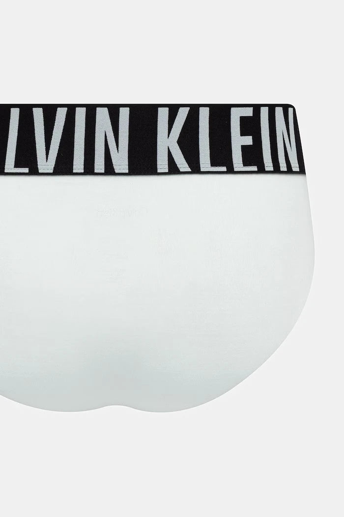 Calvin Klein Underwear Erkek Slip 3'lü