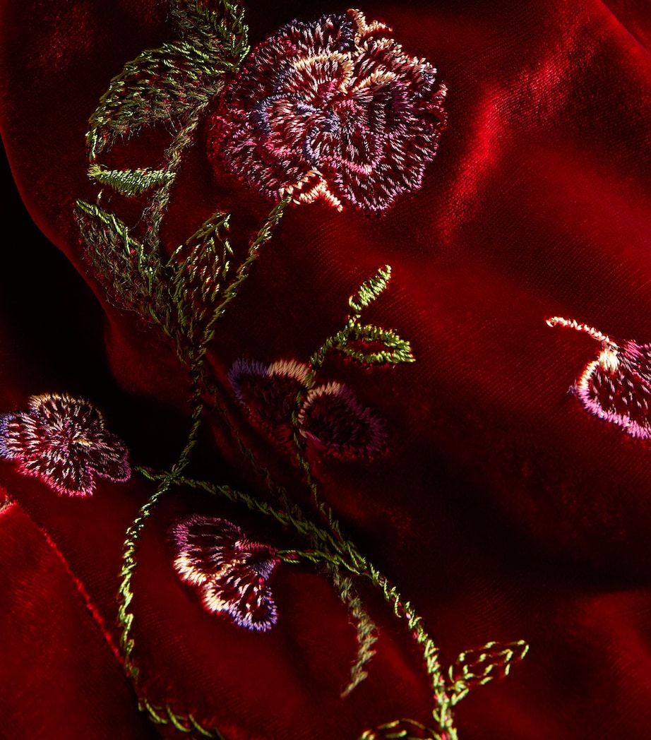 Red Embroidered Velvet Robe