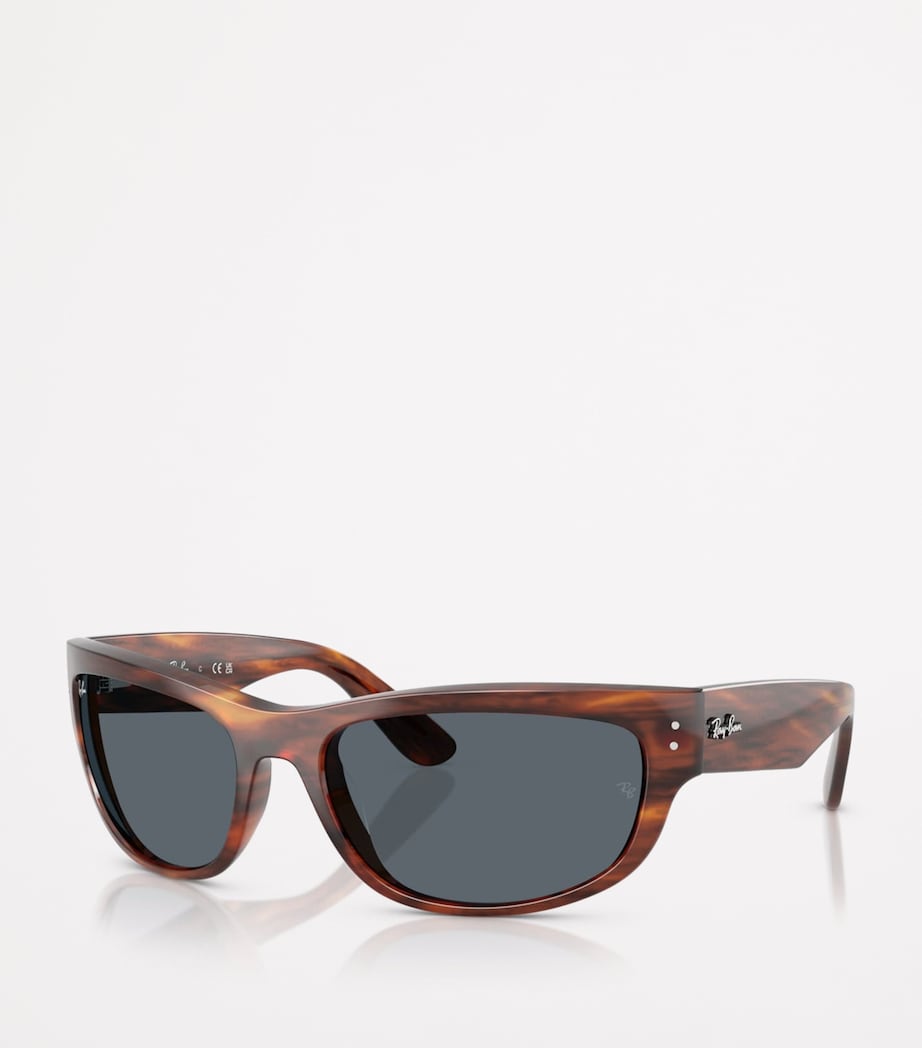 Ray-Ban Brown RB2289 Mega Balorama Sunglasses