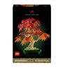 Botanicals Japanese Red Maple Bonsai Tree 10348