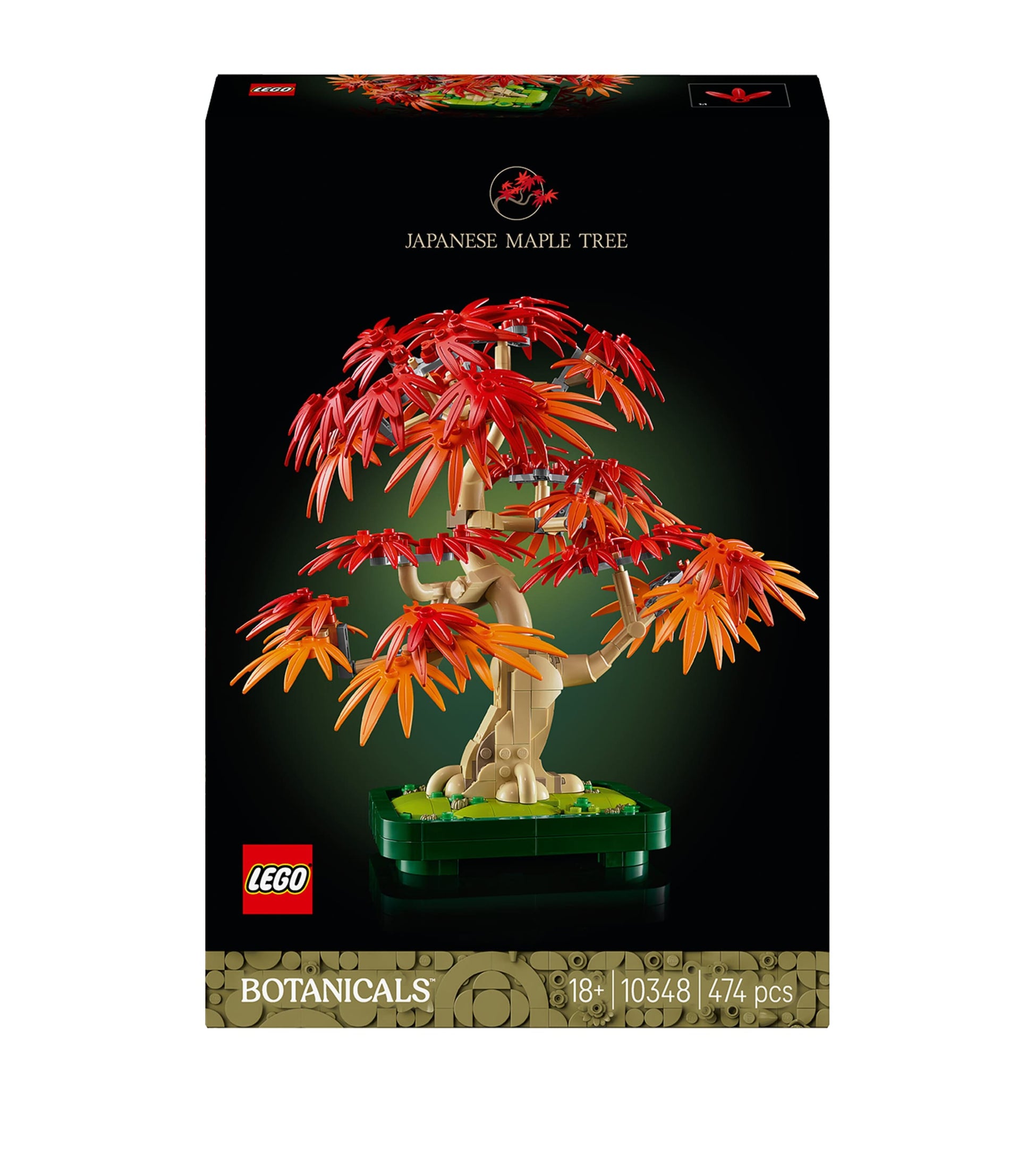 Botanicals Japanese Red Maple Bonsai Tree 10348