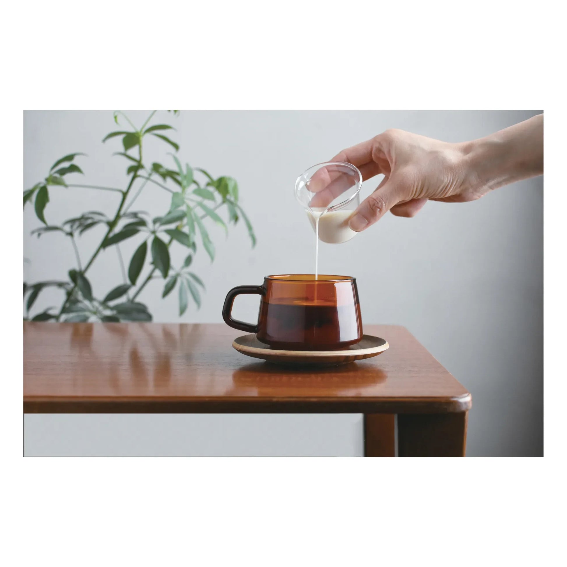 Kinto - Sepia Teak Cup and Saucer | Amber