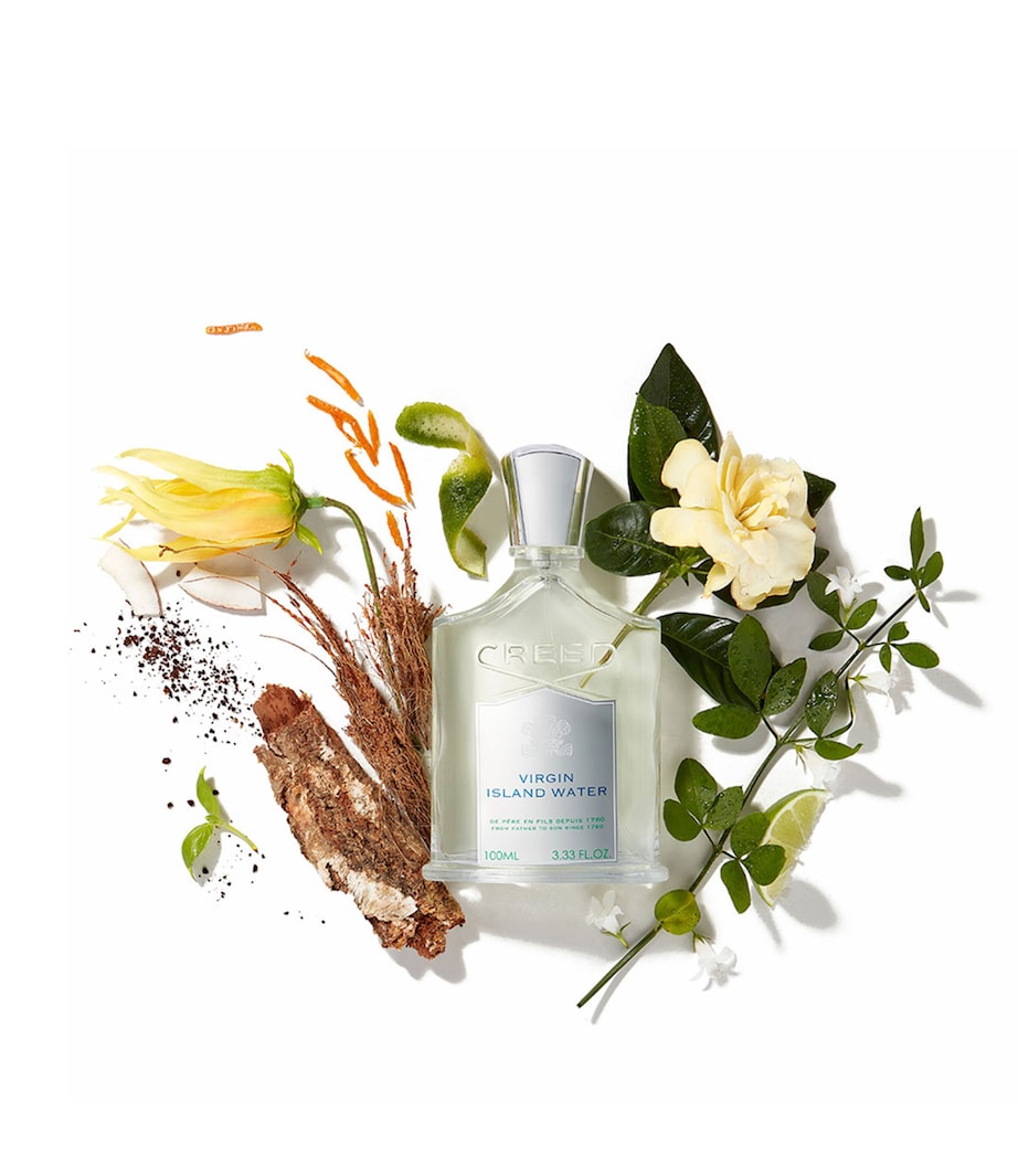 Virgin Island Water Eau de Parfum (100ml)