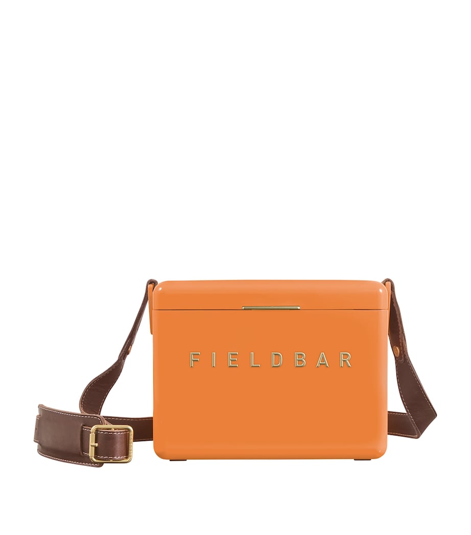 Mini Bar Cooler Box with Leather Sling (4L)