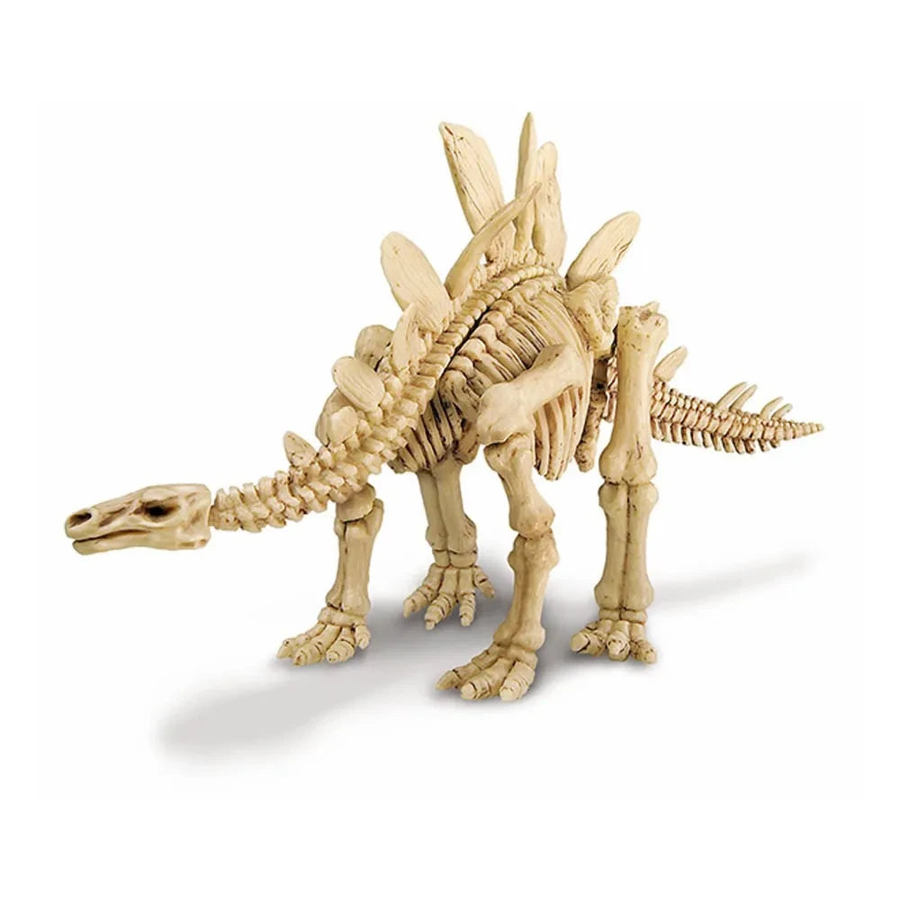 4M - Dig A Stegosaurus Kit