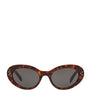 Celine Acetate CL40193I Sunglasses