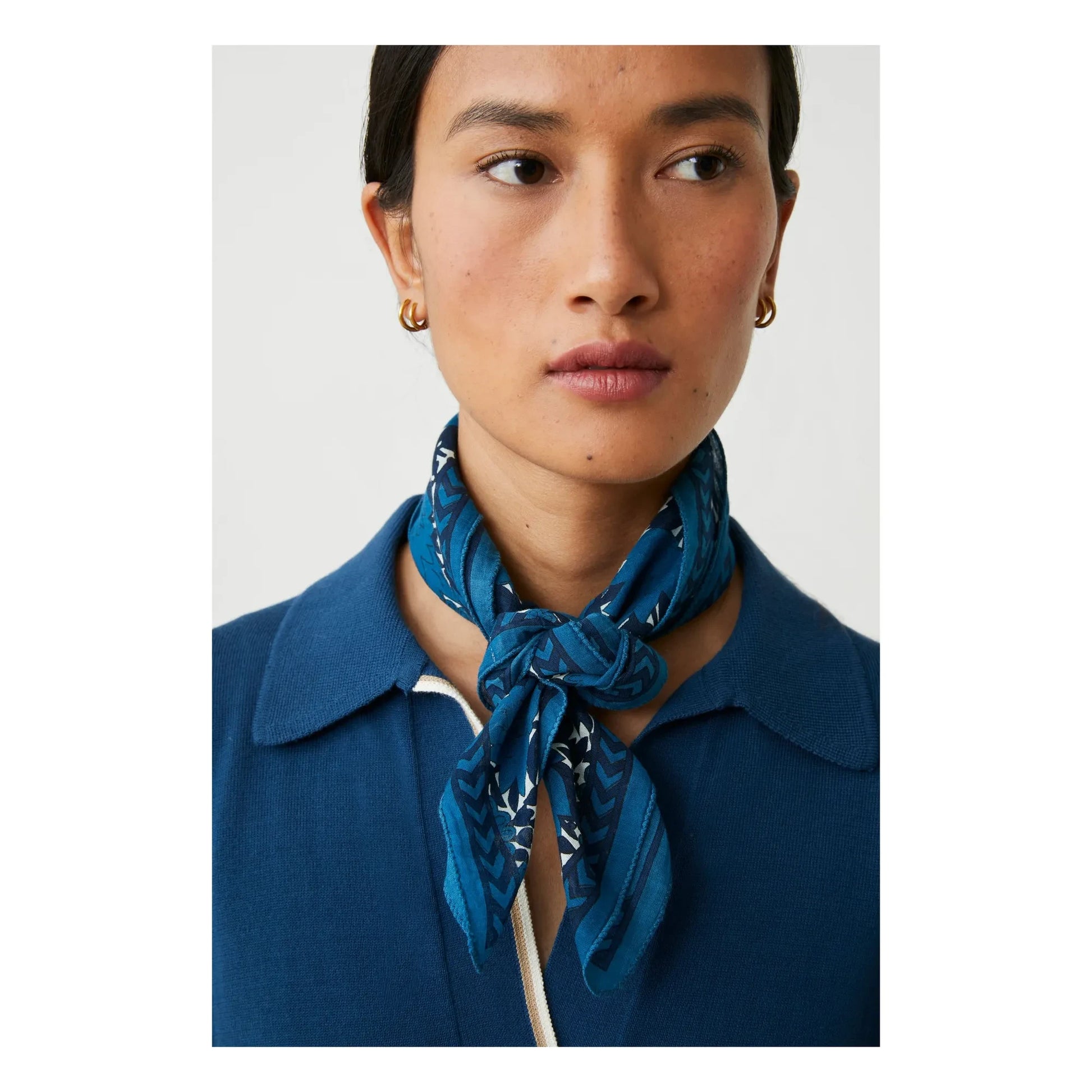 Moismont - Ajmer scarf N°791 Cotton | Indigo