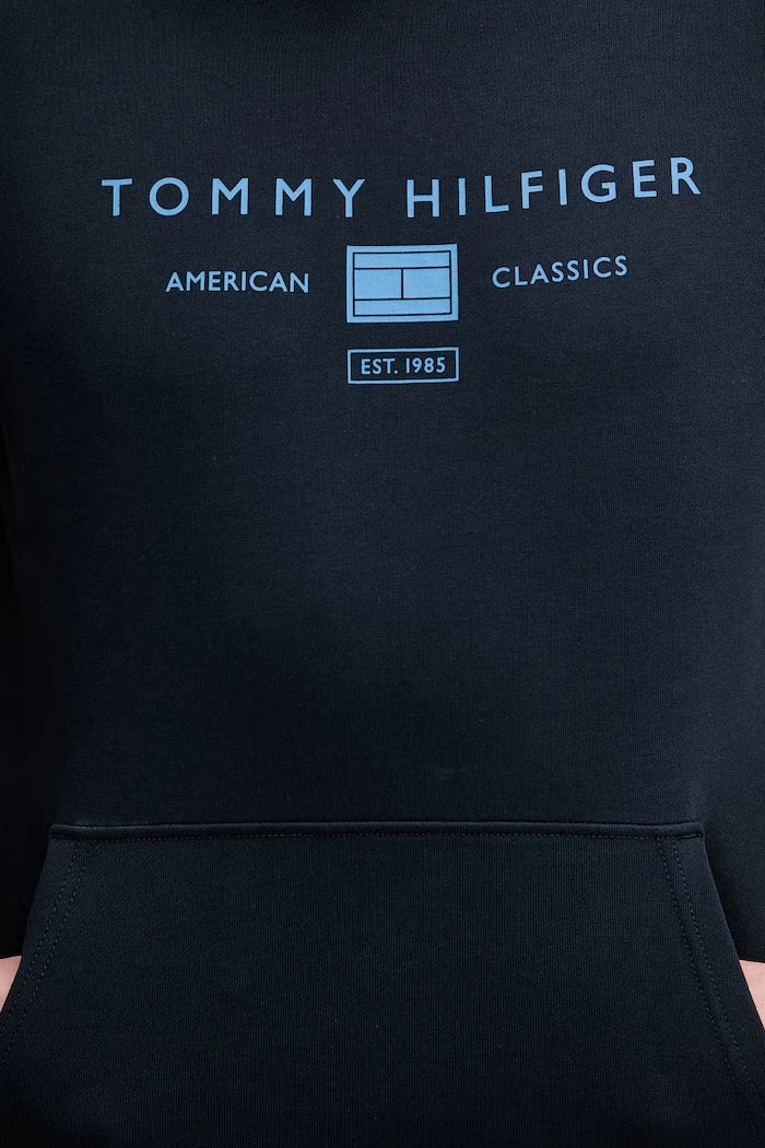 Tommy Hilfiger kapüşonlu erkek pamuklu sweatshirt