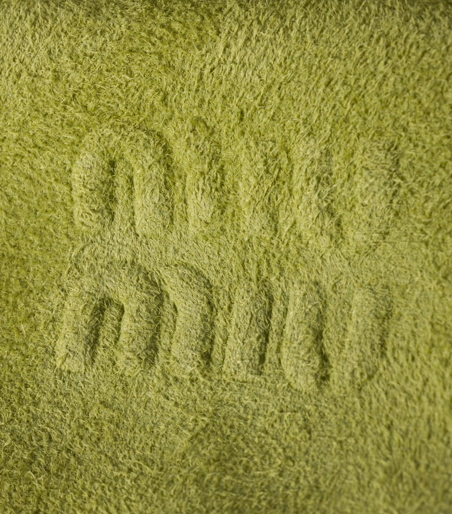 Green Suede Beau Micro Bag