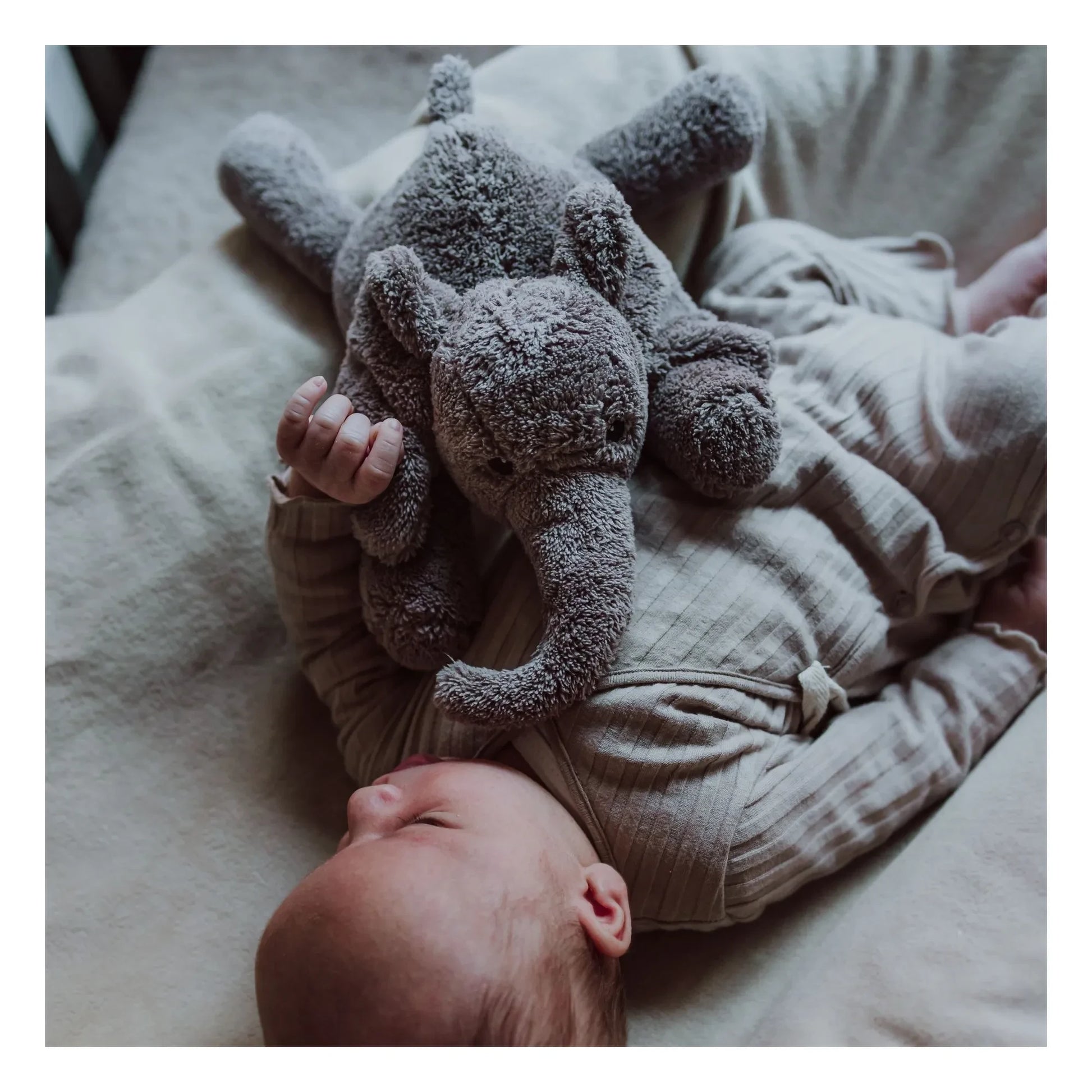 Flow - George white noise plush | Charcoal grey