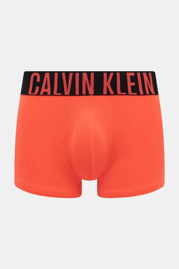 Calvin Klein Underwear 3'lü Set