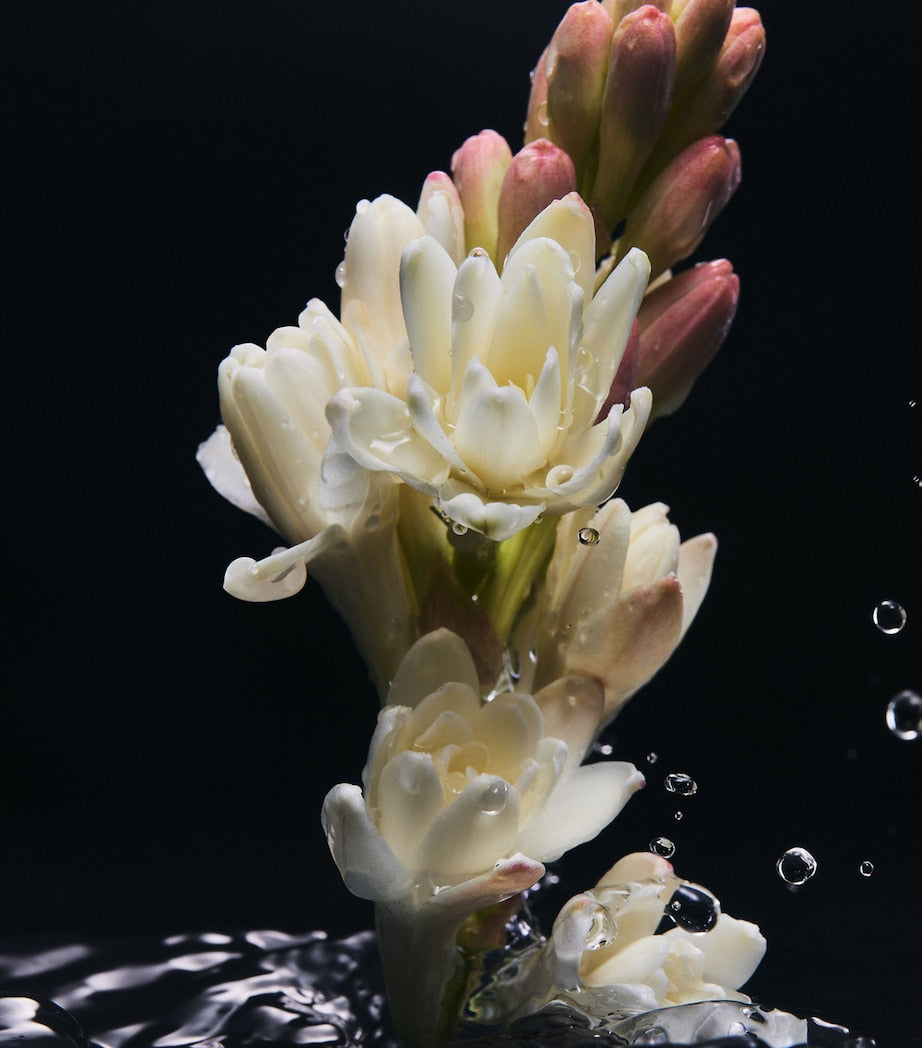 Velvet Desire Eau de Parfum (100ml)