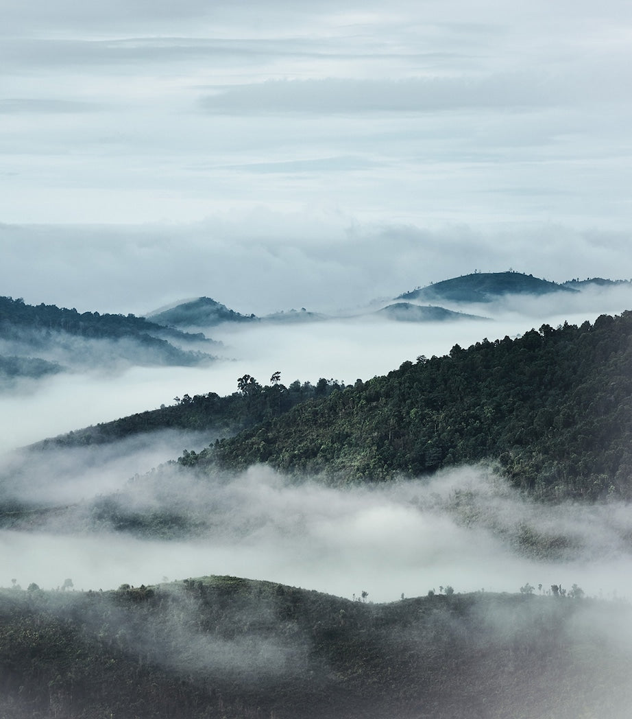 Orchidée Impériale The Oil In Gel Make-Up Remover (150ml)