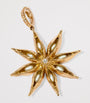Yellow Gold and Diamond Mythology Star Anise Charm Pendant