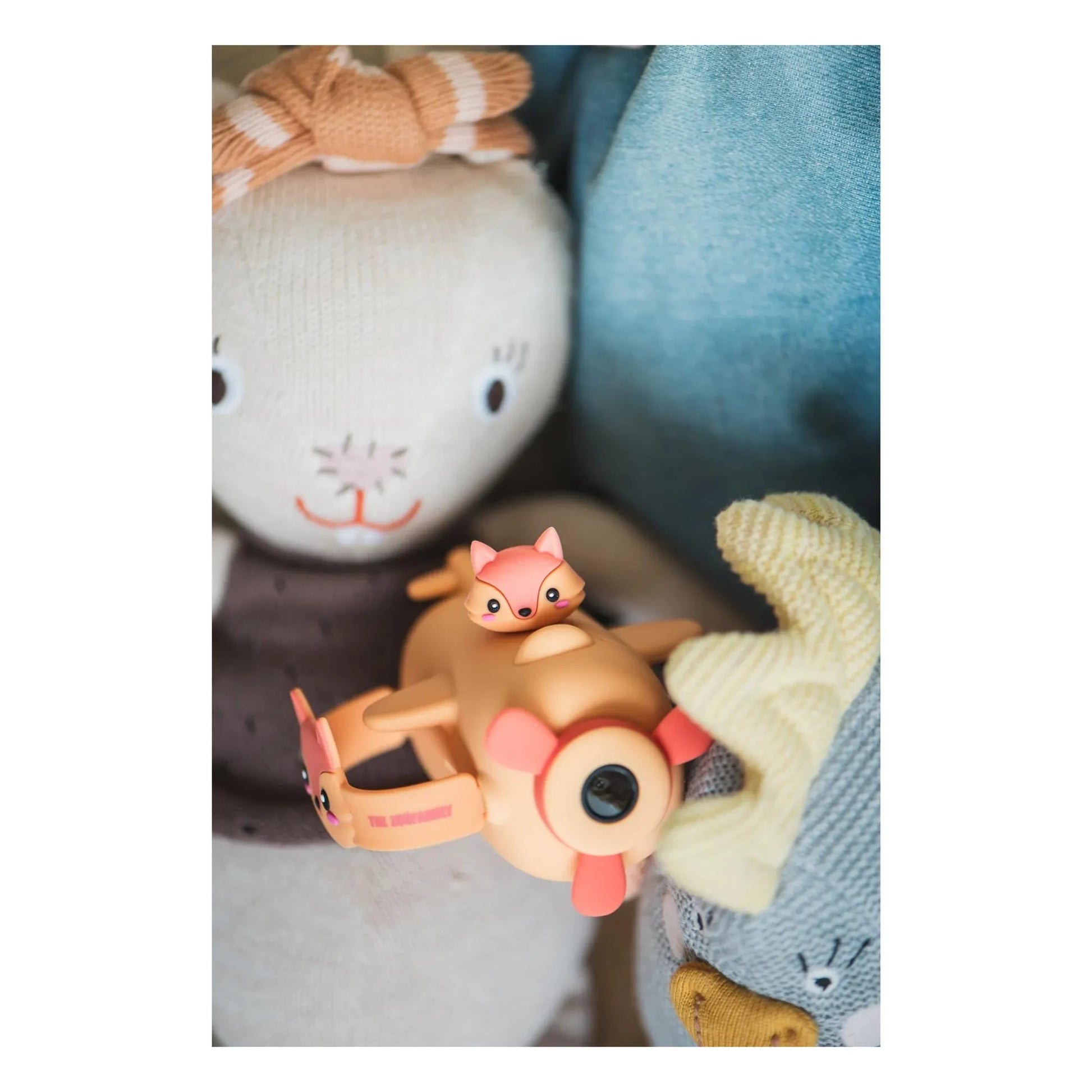The Zoofamily - Zoo video camera - Fox