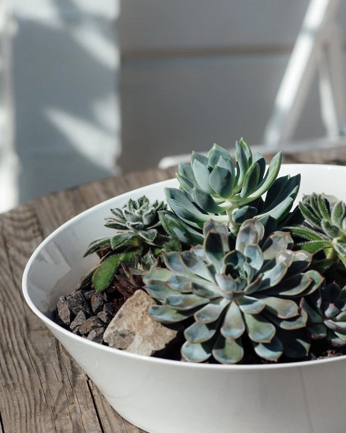 Villeroy & Boch NewWave Servis Tenceresi