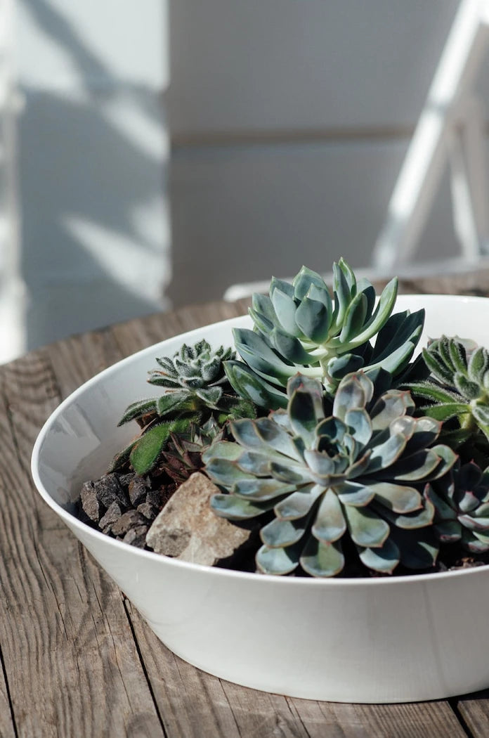 Villeroy & Boch NewWave Servis Tenceresi