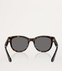 Brown Steel BE4432U Sunglasses
