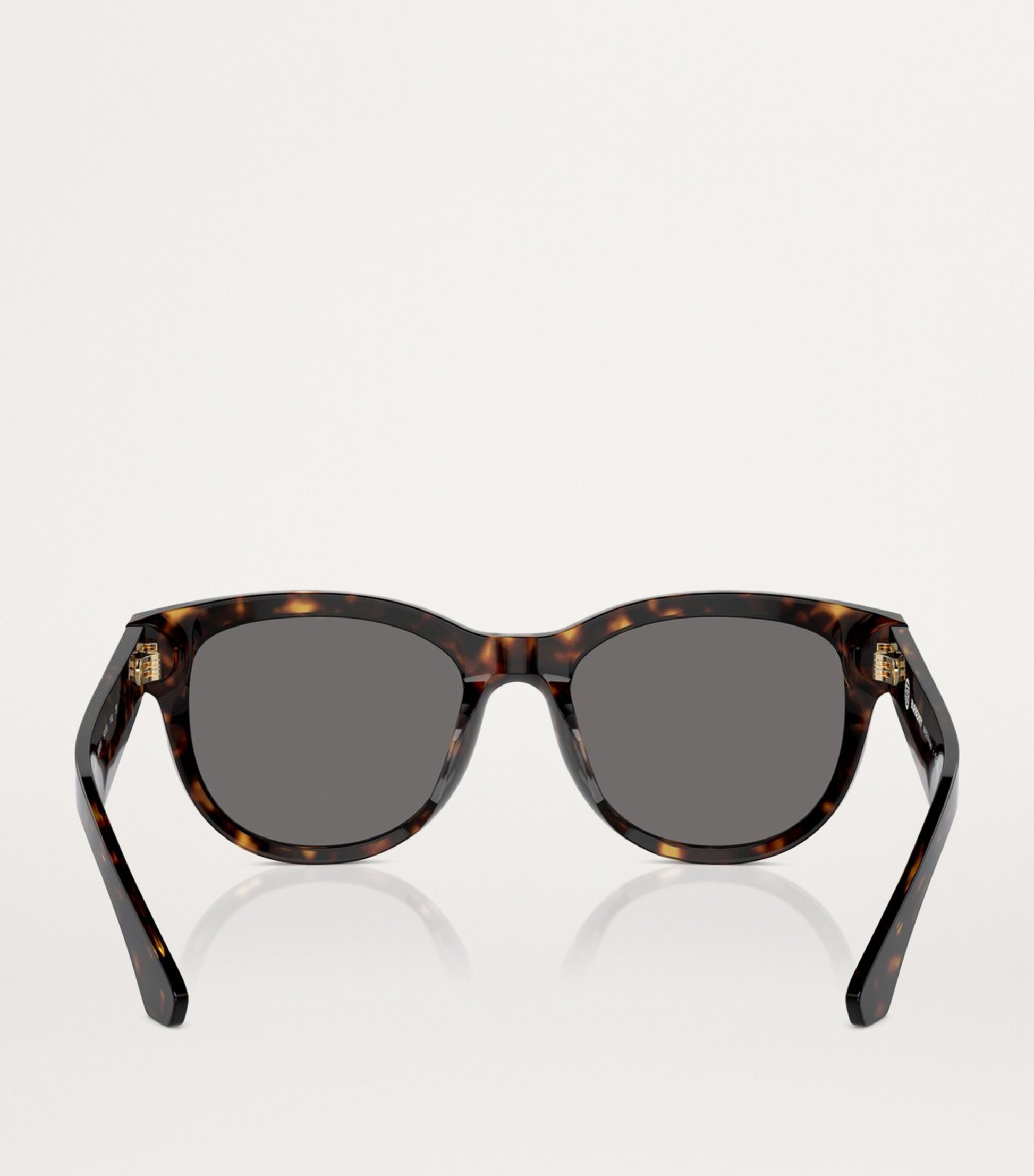 Brown Steel BE4432U Sunglasses