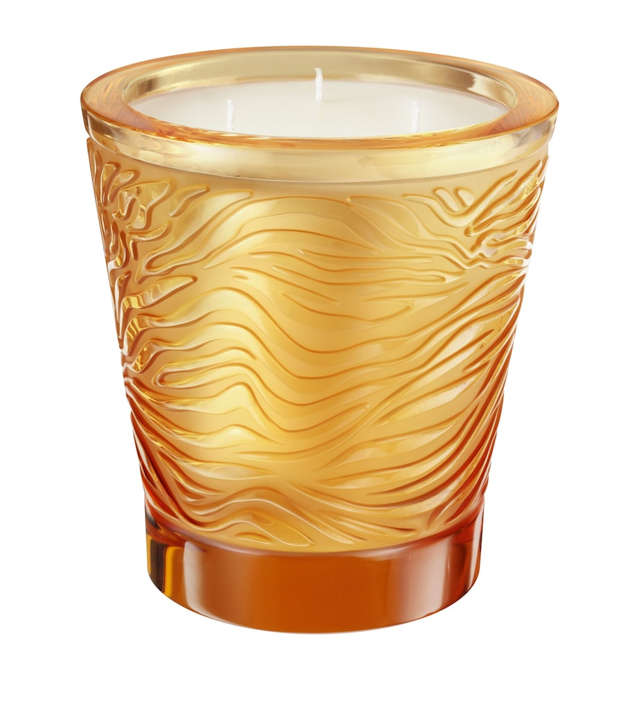Jungle Voyage Scented Candle (750g)