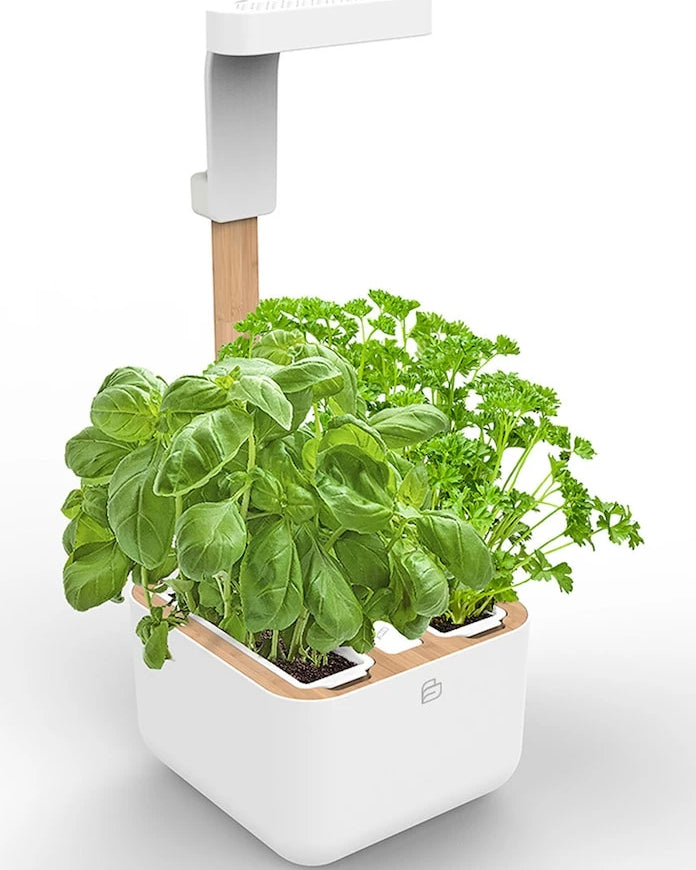 Veritable - Botaneo Eylo Otomatik Ev Bahçesi