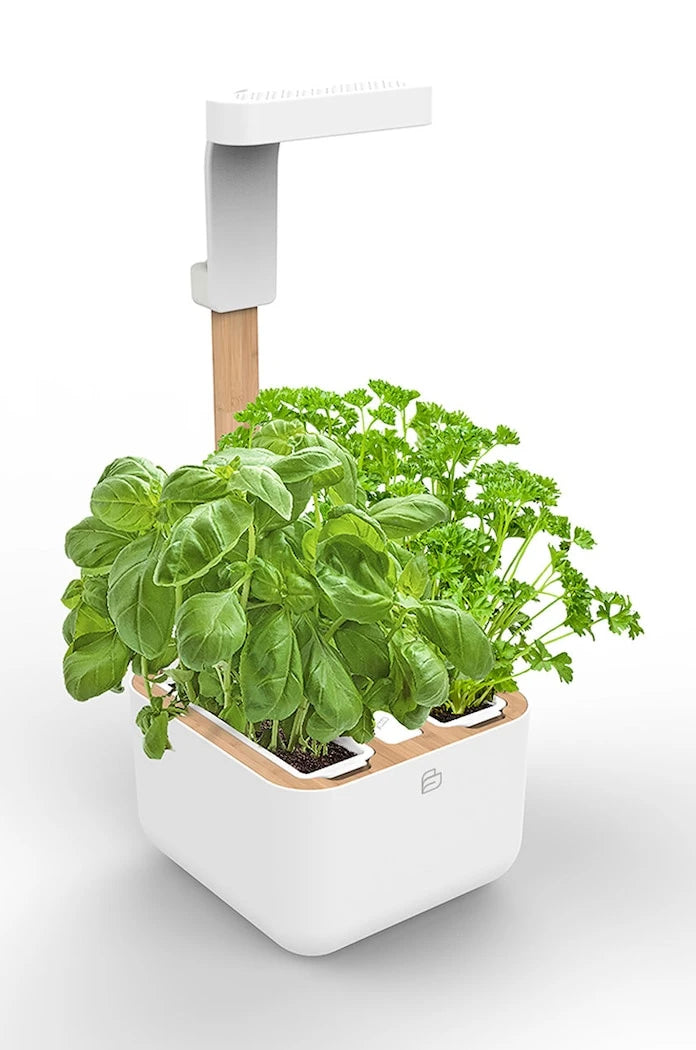 Veritable - Botaneo Eylo Otomatik Ev Bahçesi
