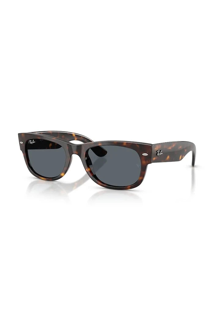 Ray-Ban Güneş Gözlüğü