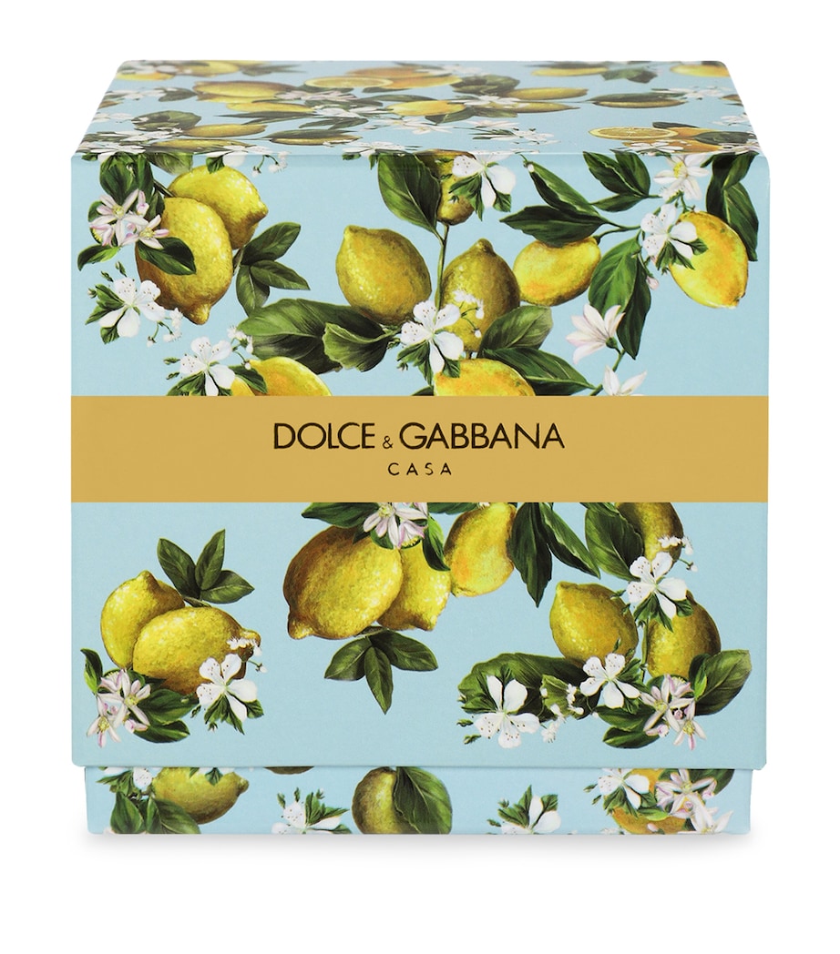 Dolce & Gabbana Casa Lemon Scented Candle (250g)