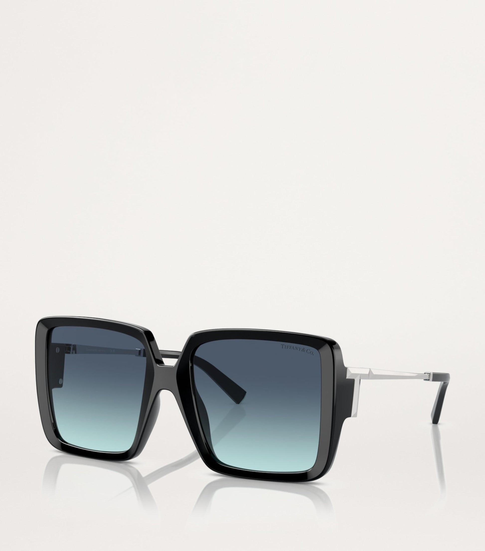 Tiffany & Co. Black Injected Square Oversized Sunglasses