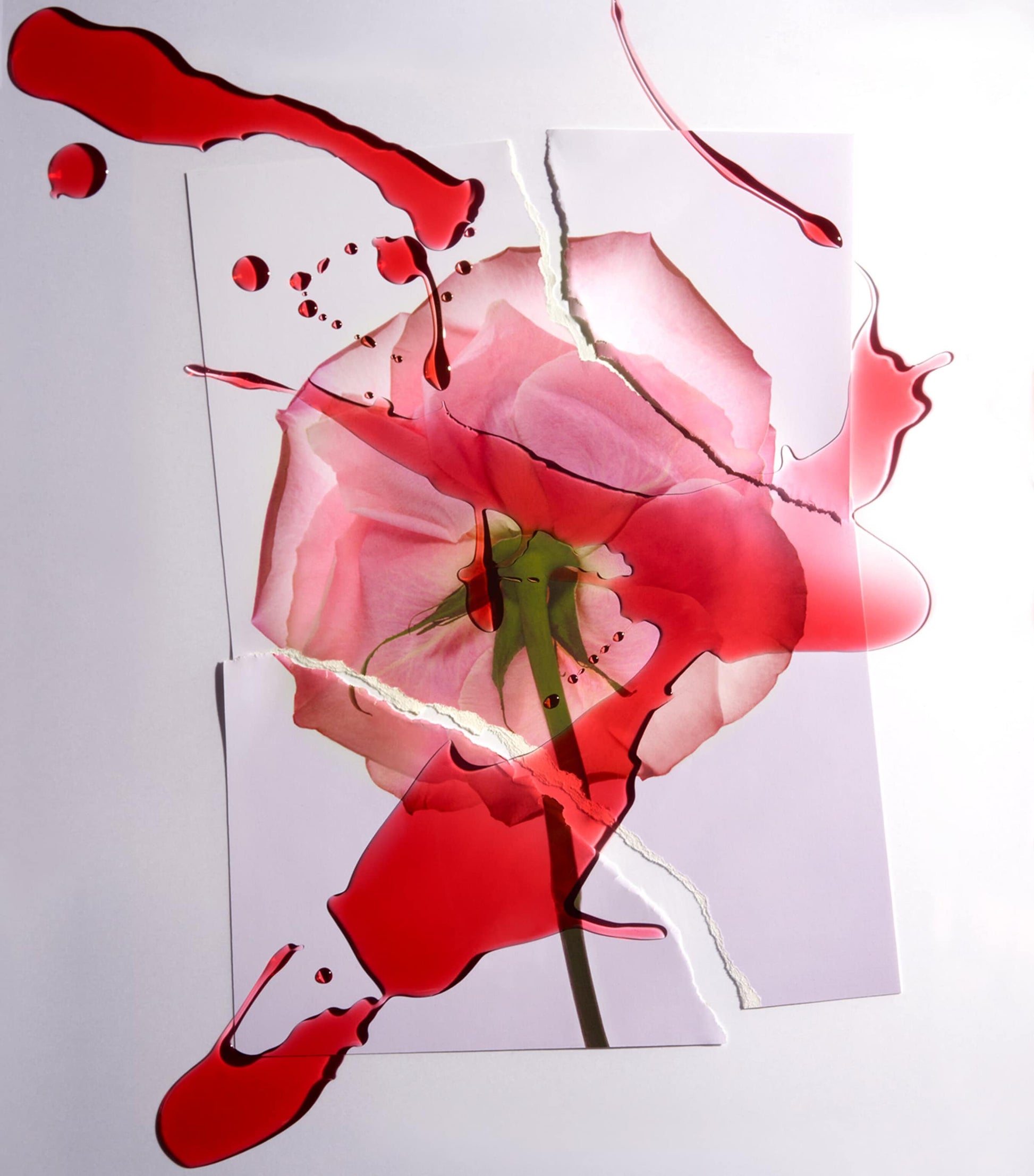 Spiky Muse Eau de Parfum (50ml)