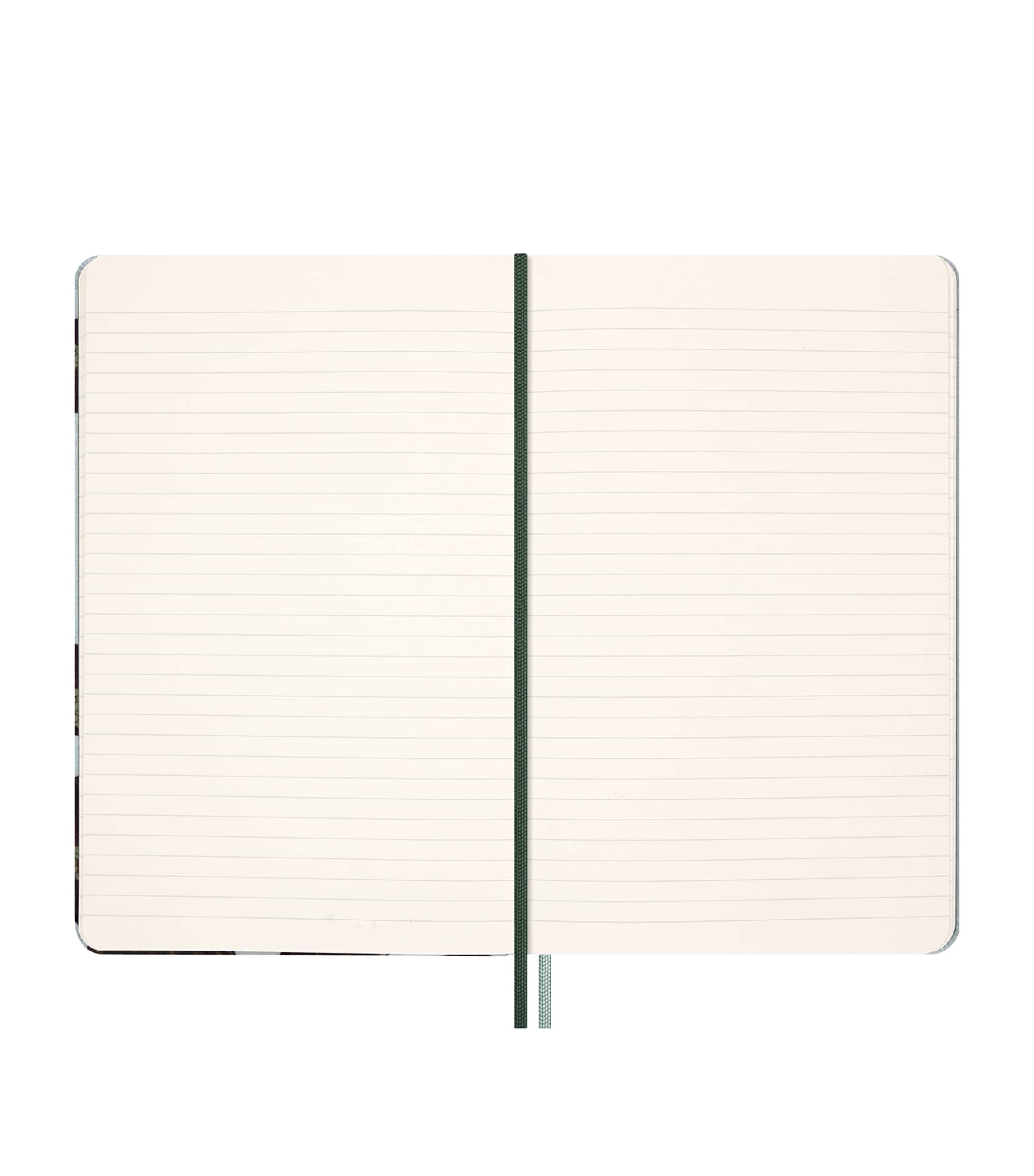 Year of the Snake Luxury Collector's Box