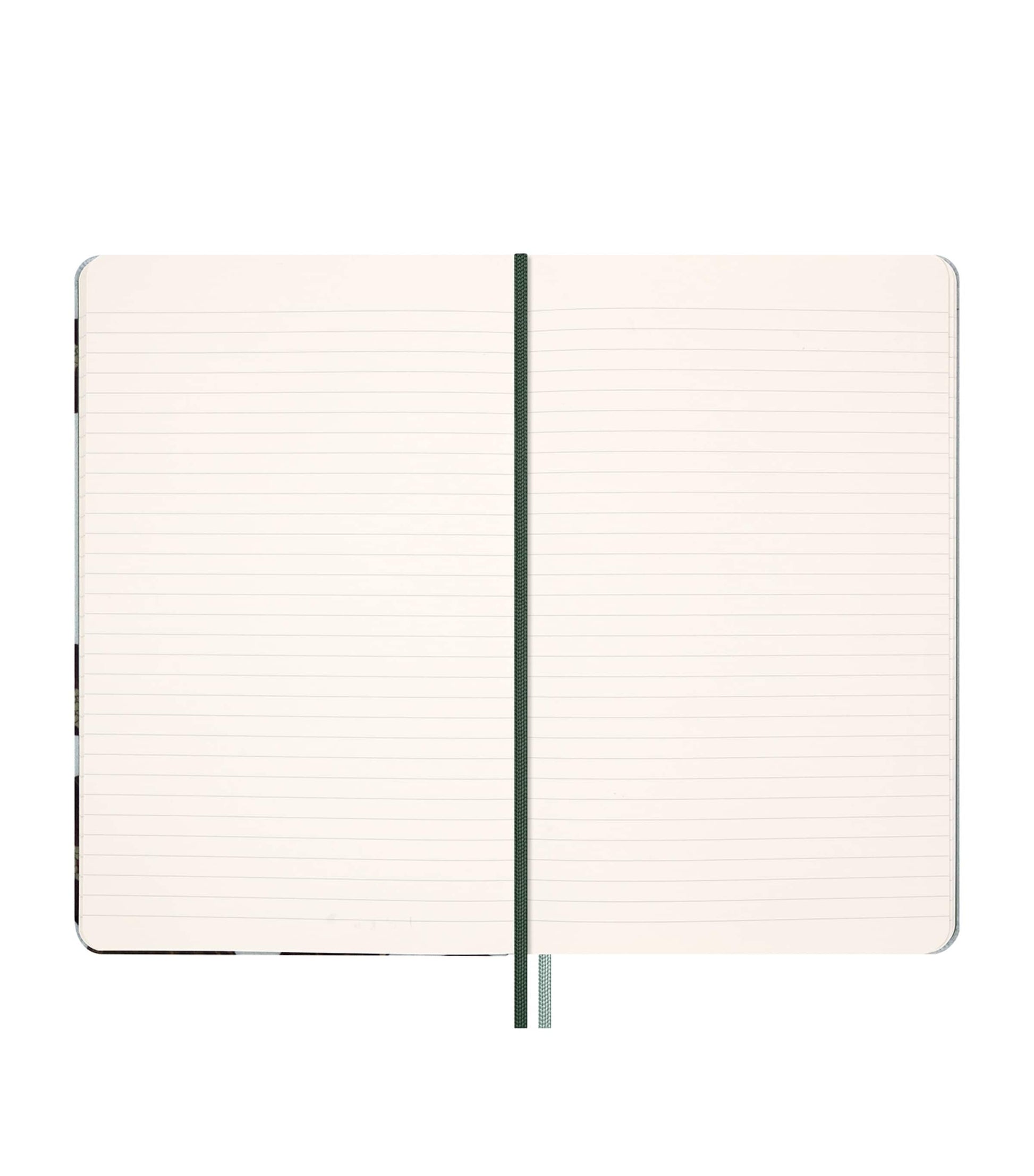 Year of the Snake Luxury Collector's Box