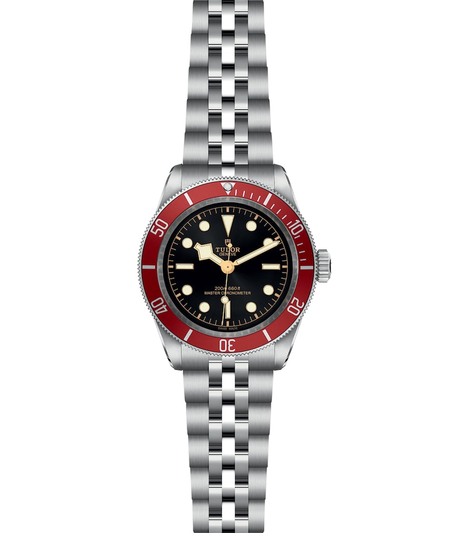 TUDOR Stainless Steel Black Bay Watch 41mm