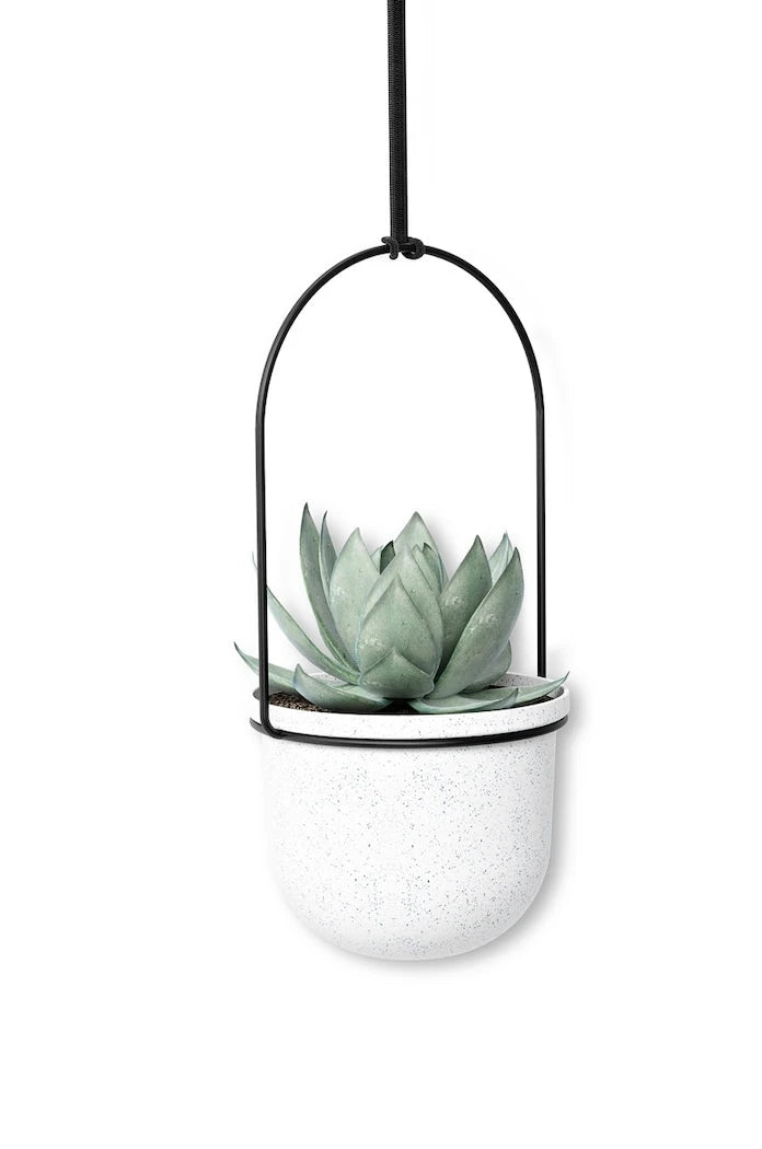 Umbra Duvar Saksı Seti 2 x O 10 cm / 3 x O15 cm