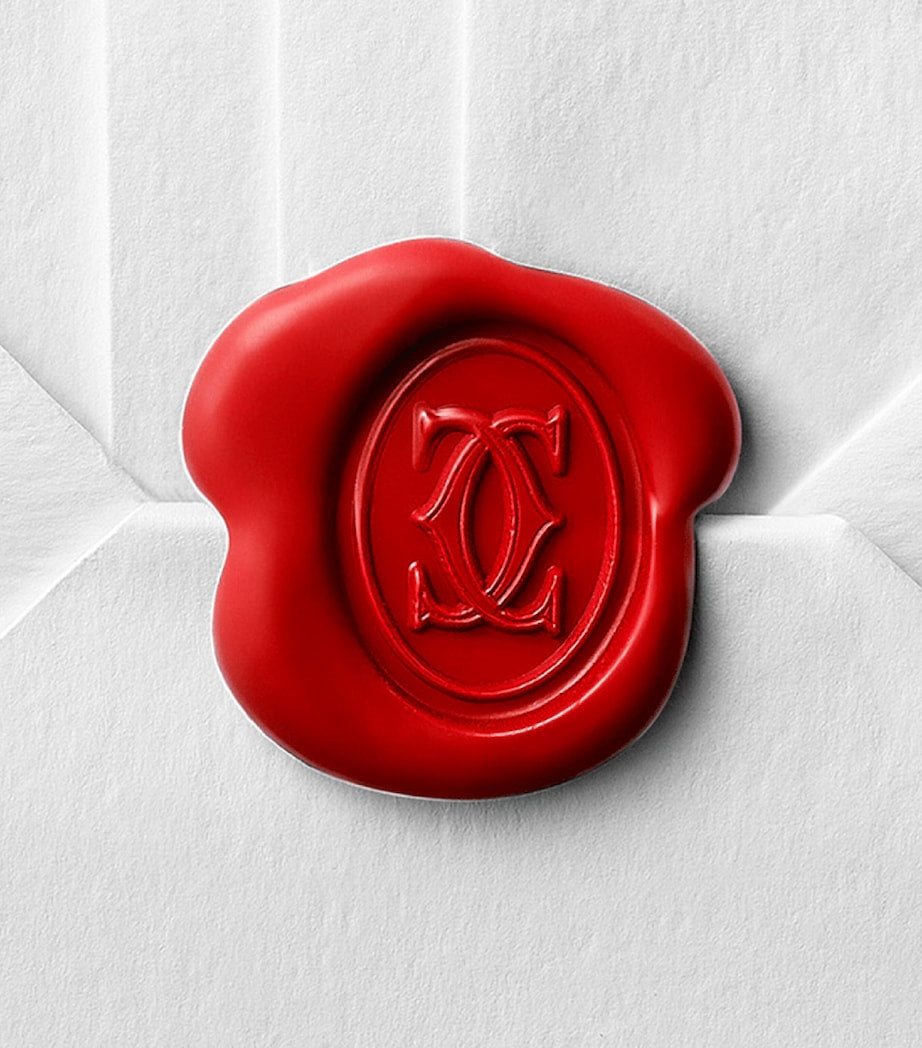 Stainless Steel Santos-Dumont Watch 46.6mm