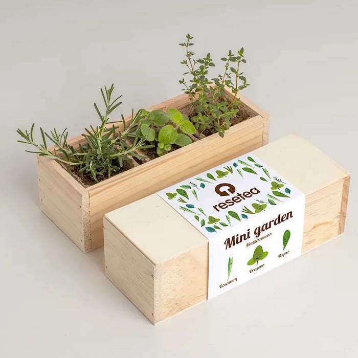 RESETEA Mini Garden Akdeniz Bitki Yetiştirme Seti 9,8 x 8,8 x 8,8 cm