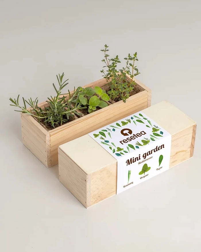 Комплект за отглеждане на растения RESETEA Mini garden Mediterranean 9,8 x 8,8 x 8,8 cm