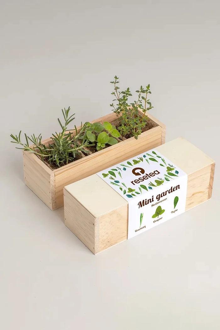 RESETEA Mini Garden Akdeniz Bitki Yetiştirme Seti 9,8 x 8,8 x 8,8 cm