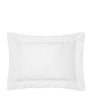 Cotton Splendore Oxford Sham Pillowcase (50cm x 75cm)