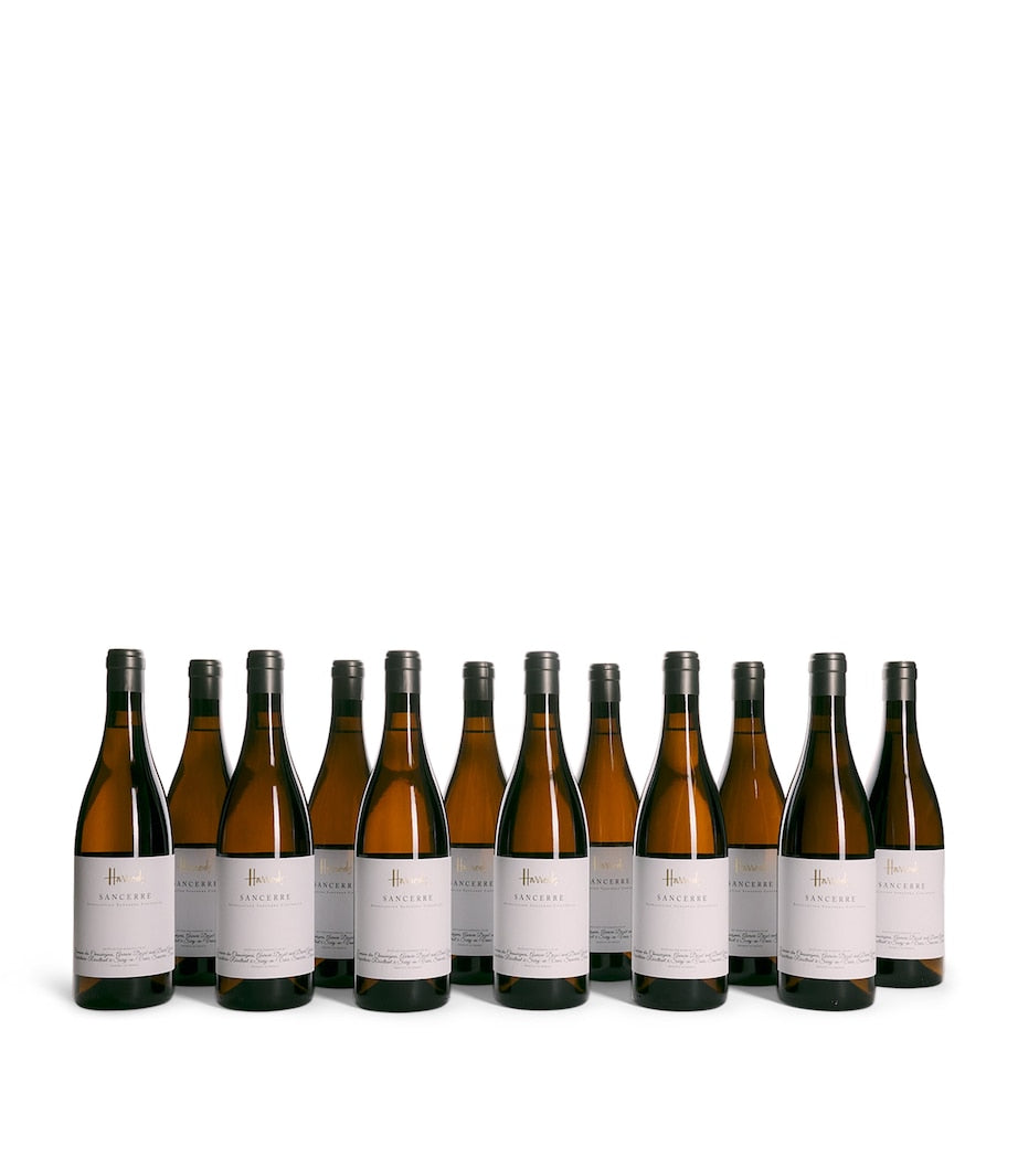 Sancerre 2023 Wine Case (12 Bottles) - Loire Valley, France